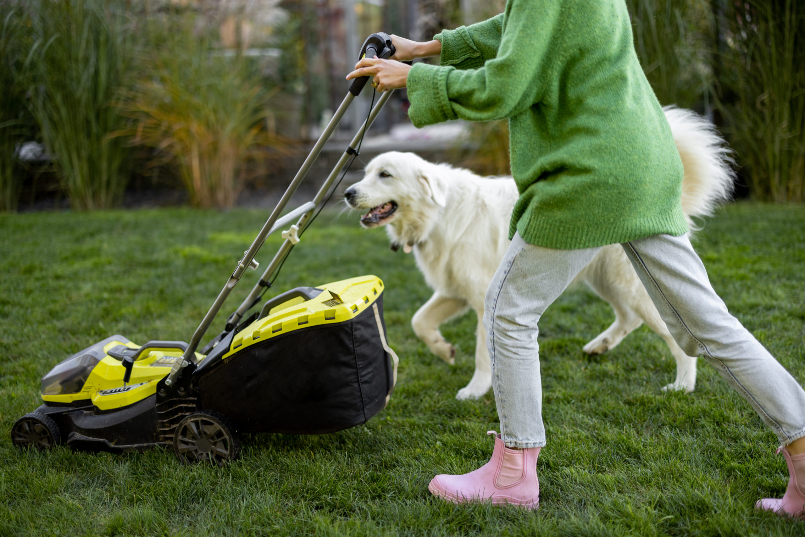 Gartenarbeit mit Hund